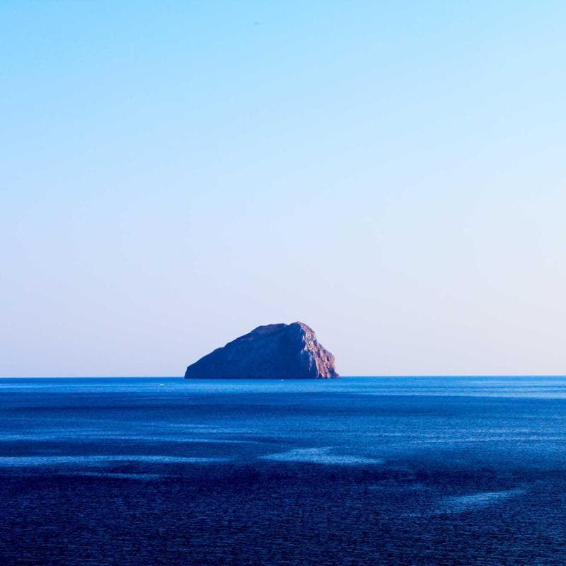 Whey Protein Premium